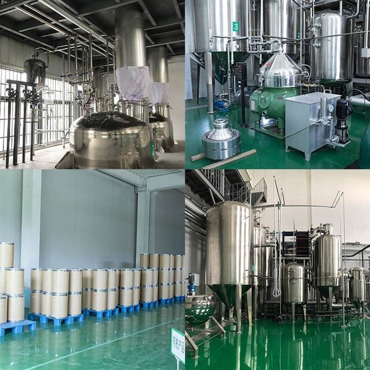 Black Pepper Extract factory